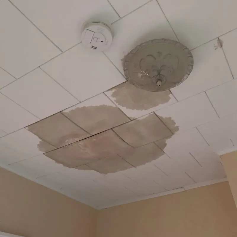 Ceiling Water Damage Repair in Hardy County, WV