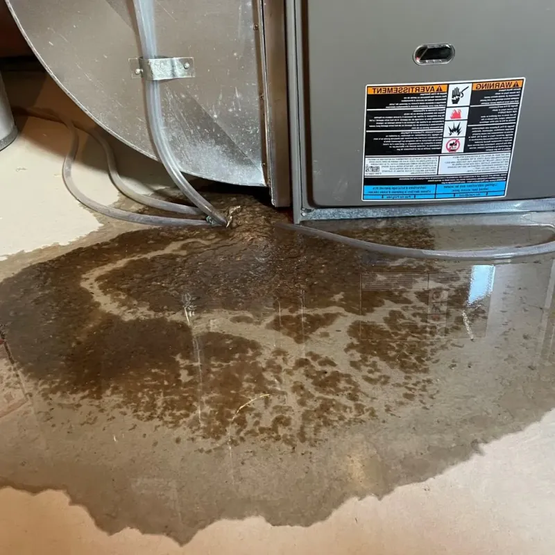 Pipe Burst and Leak Restoration in Hardy County, WV